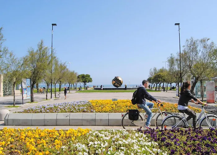 3 Bedroom Amazing In Holiday home *